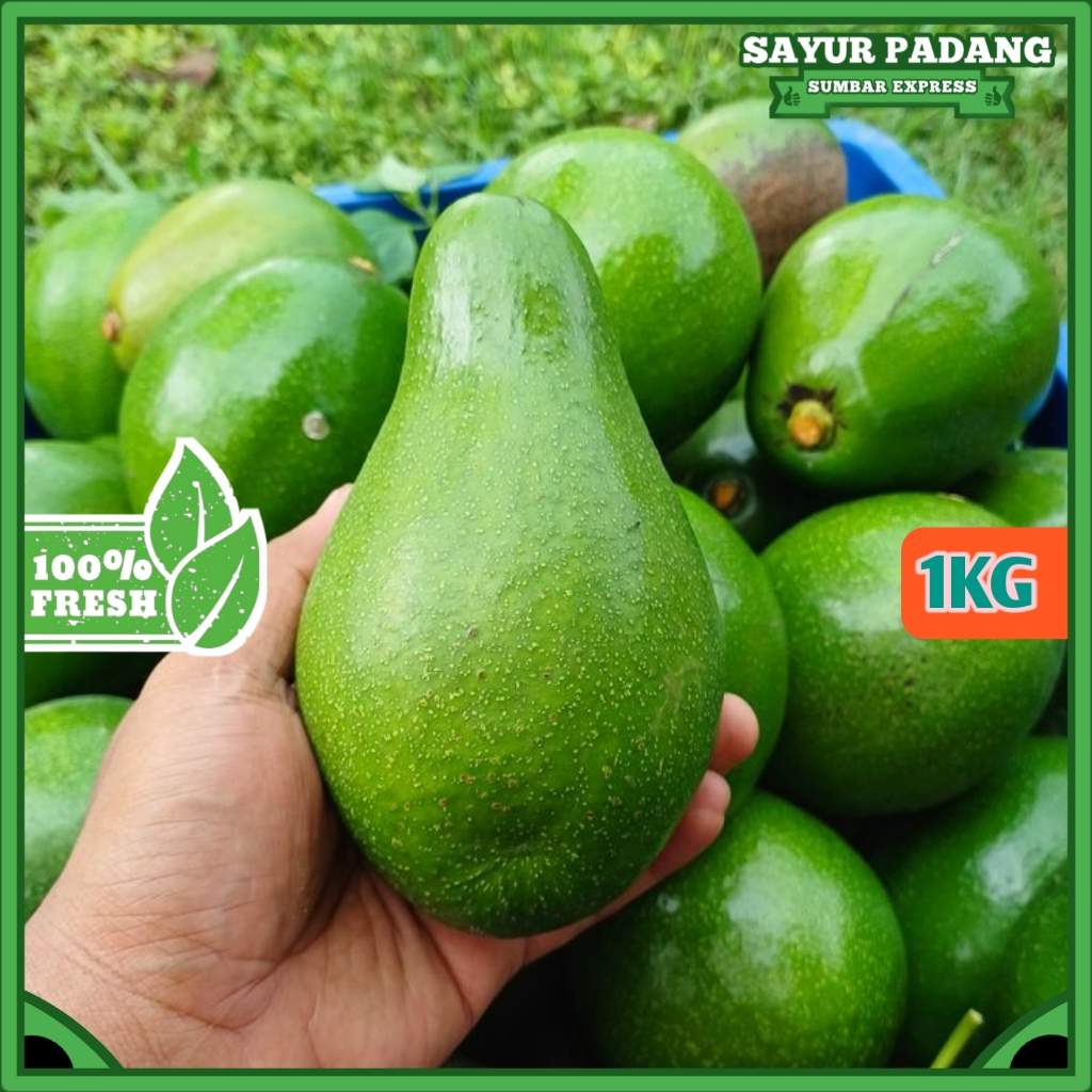 

ALPUKAT MENTEGA MENTAH 1KG FRESH 4 - 6 BUAH