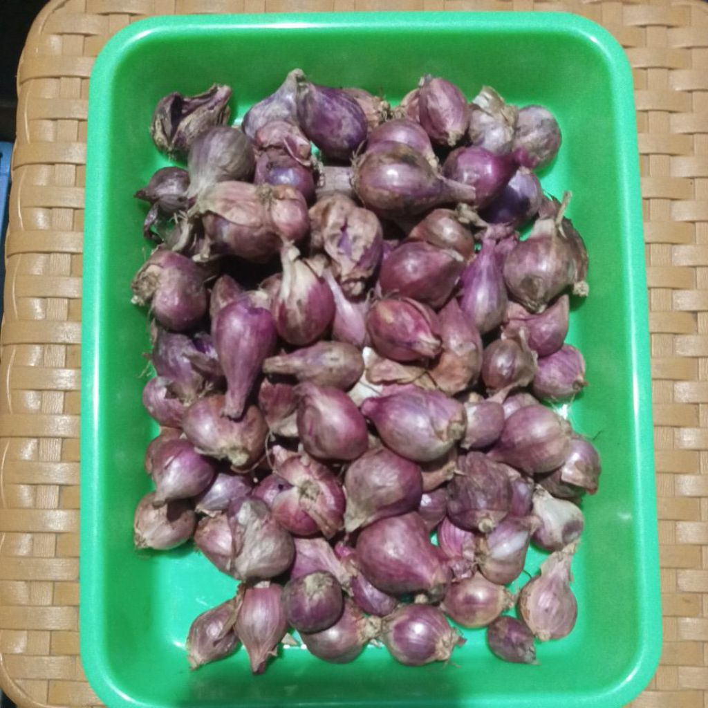 Bawang Merah Super Brebes