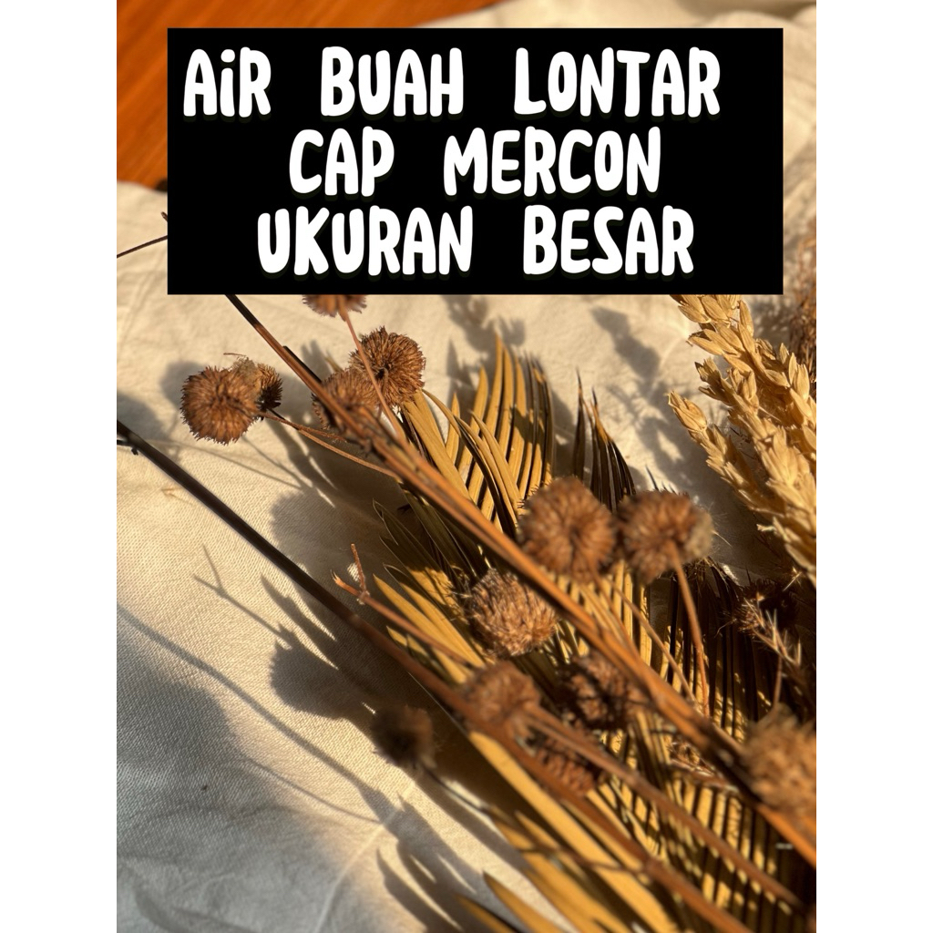 

air buah lontar (besar)cap mercon