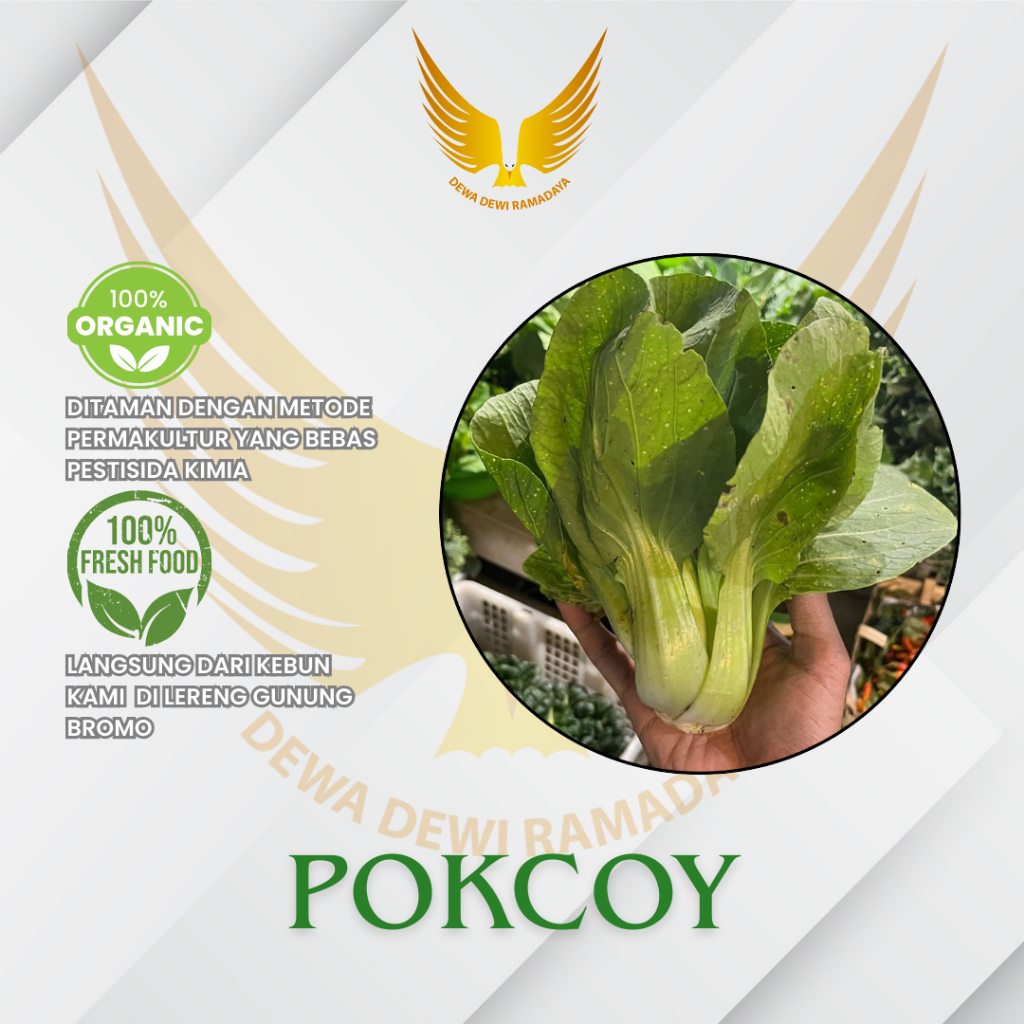 

Sawi Pakcoy Organik Dewa Dewi Rama Daya