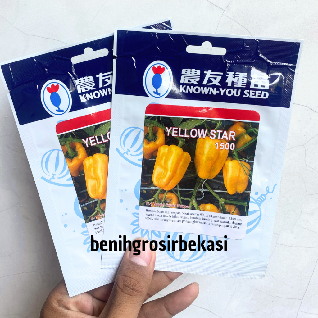 BENIH BIBIT PAPRIKA KUNING YELLOW STAR 100 biji PACK BESAR benih biji paprika sweet pepper f1 hibrid