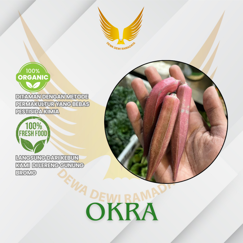 

Okra Organik Dewa Dewi Rama Daya