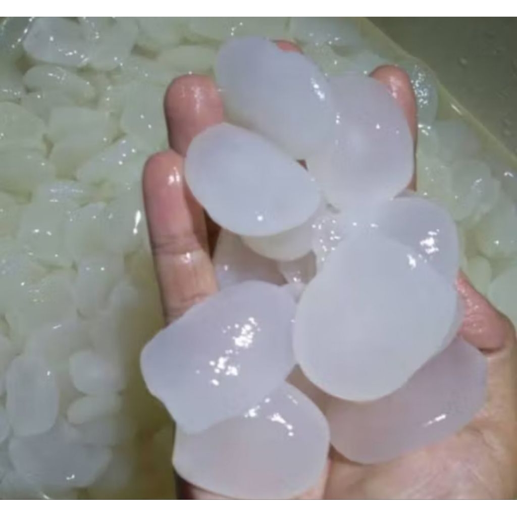 

kolang kaling berkualitas 1kg presh