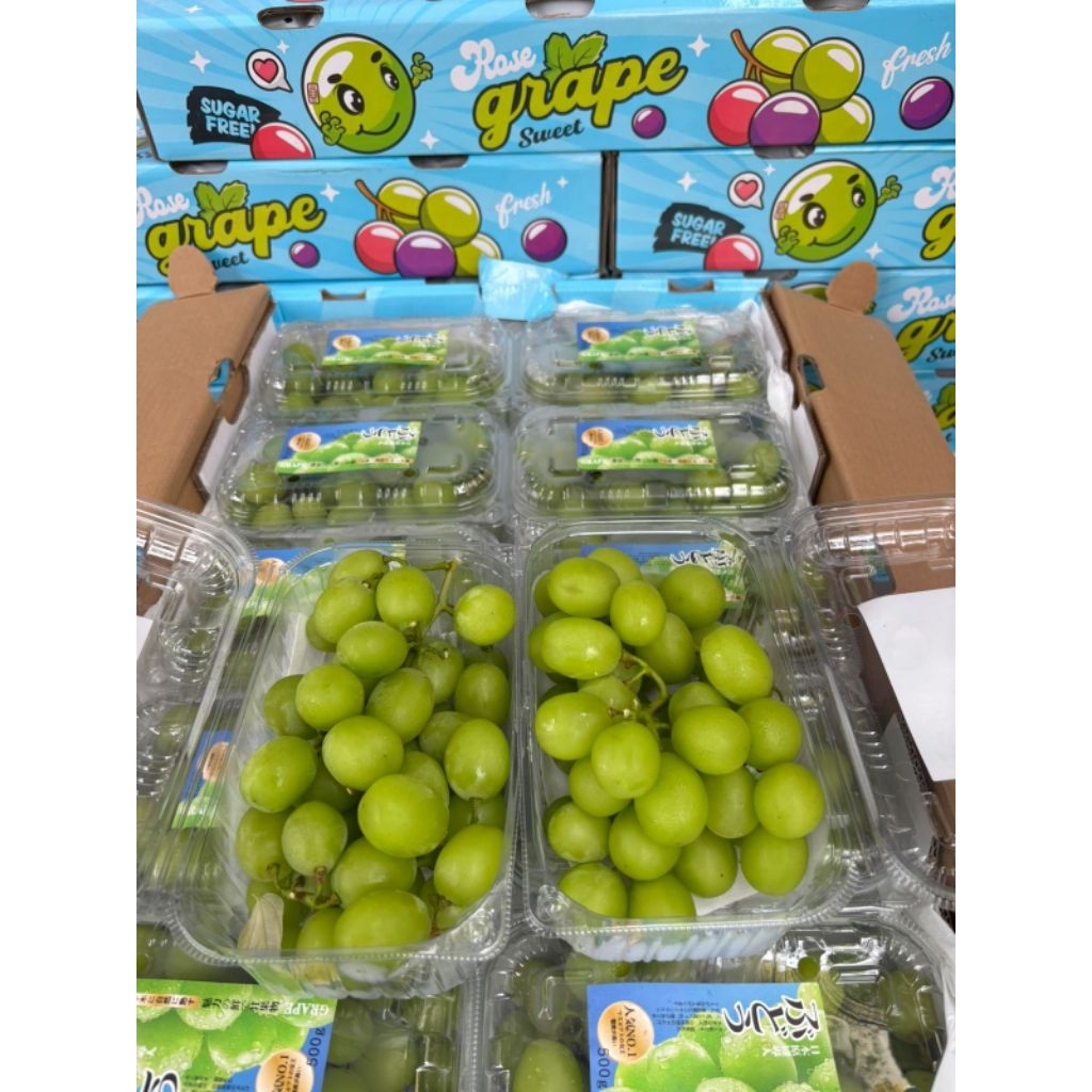 

shine muscat anggur hijau pack