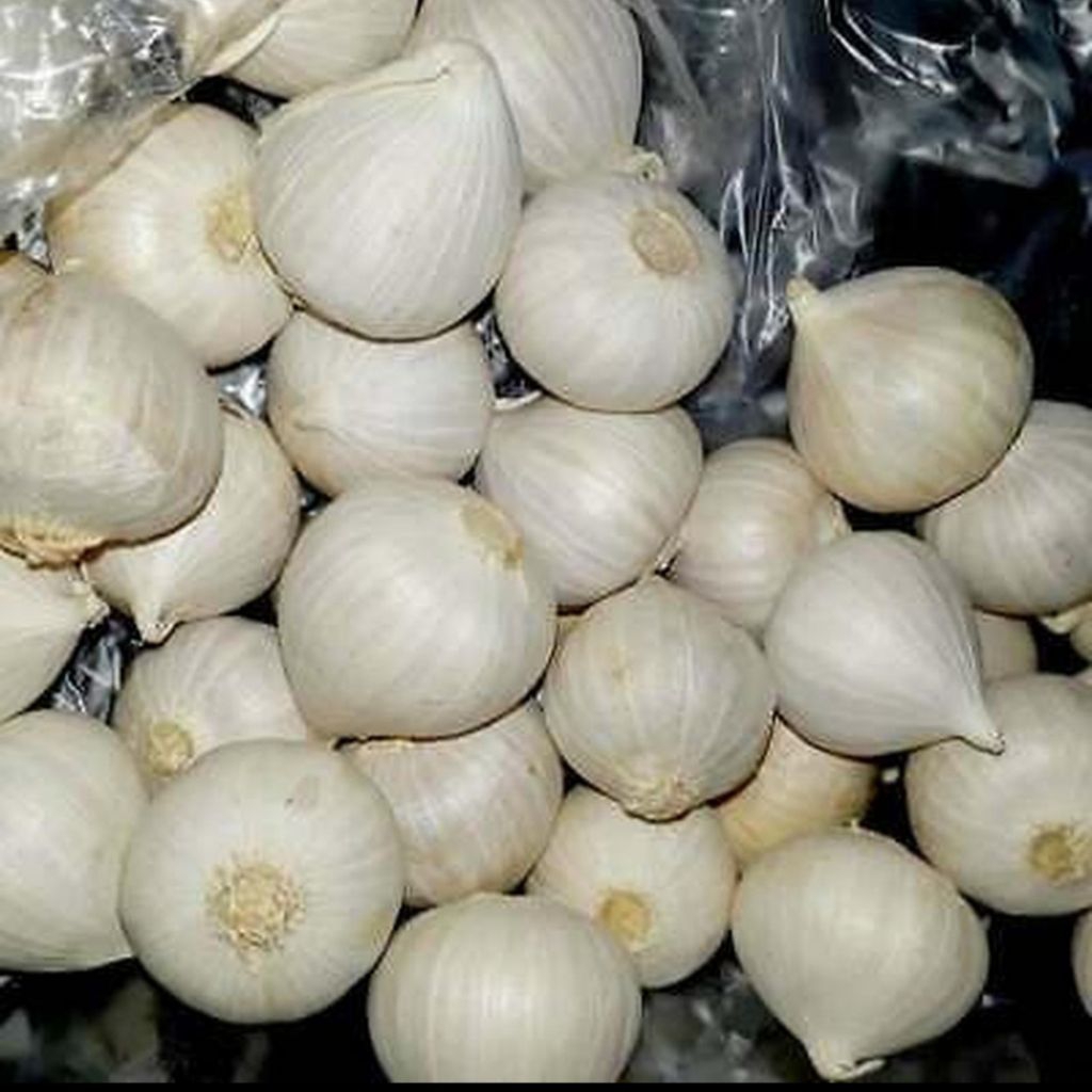 

Bawang Putih Tunggal Impor/Bawang Lanang Fresh 1 Kg
