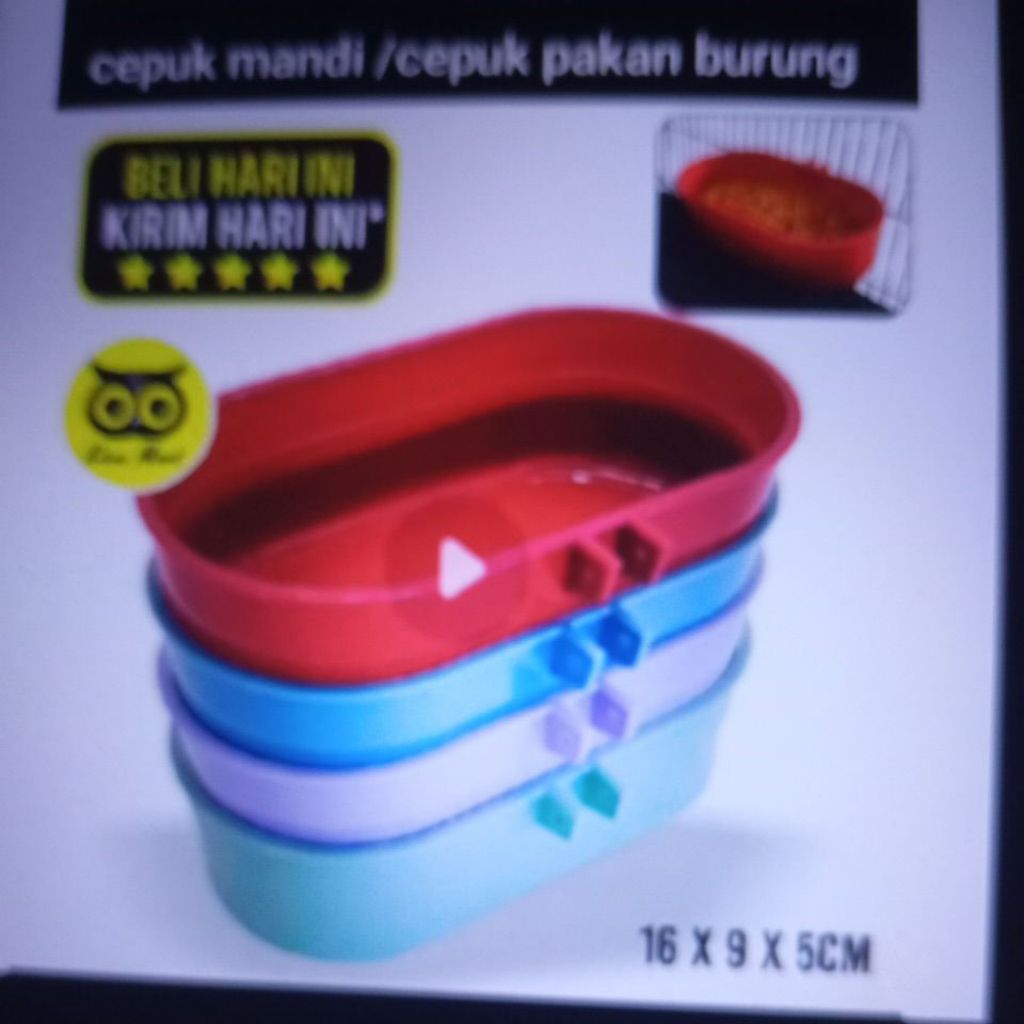cepuk pakan /cepuk mandi burung