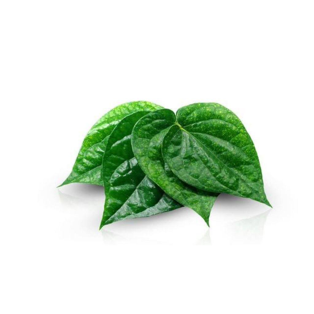 

Daun Sirih Hijau Per Lembar Fresh