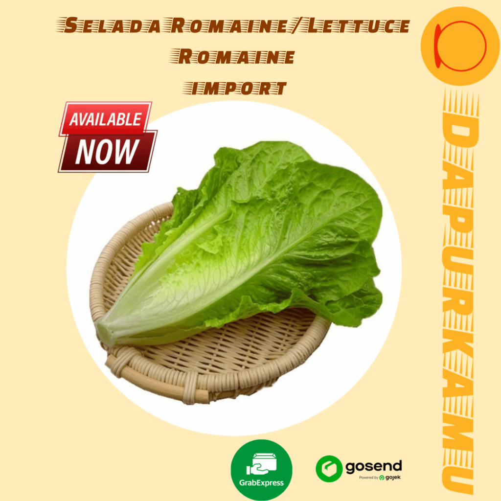 

Dapur_Kamu Express SELADA ROMAINE /LETTUCE ROMAINE Sayuran Segar Import 4kg