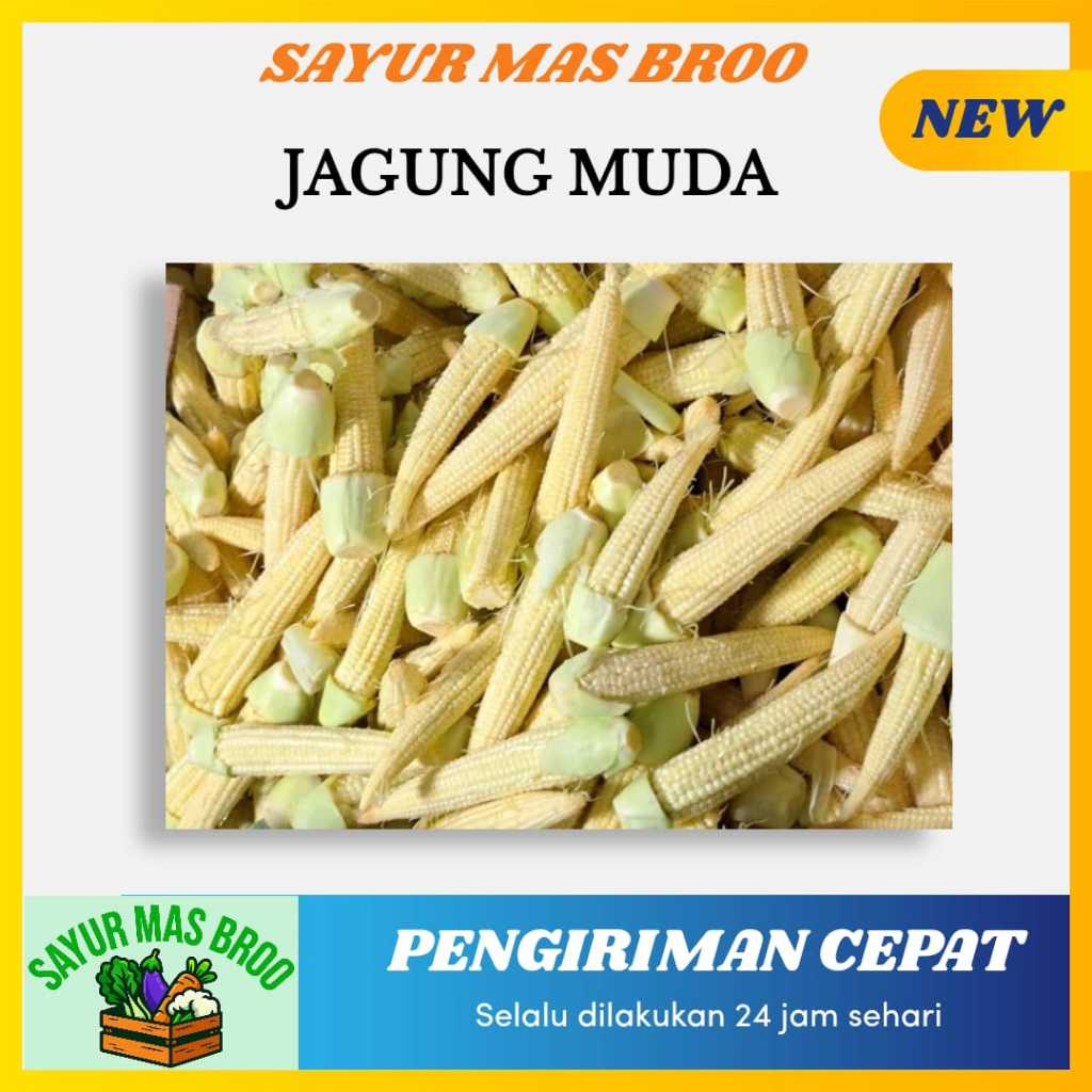 

Jagung Muda/Kecil - Toko Sayuran Mas Broo Palembang