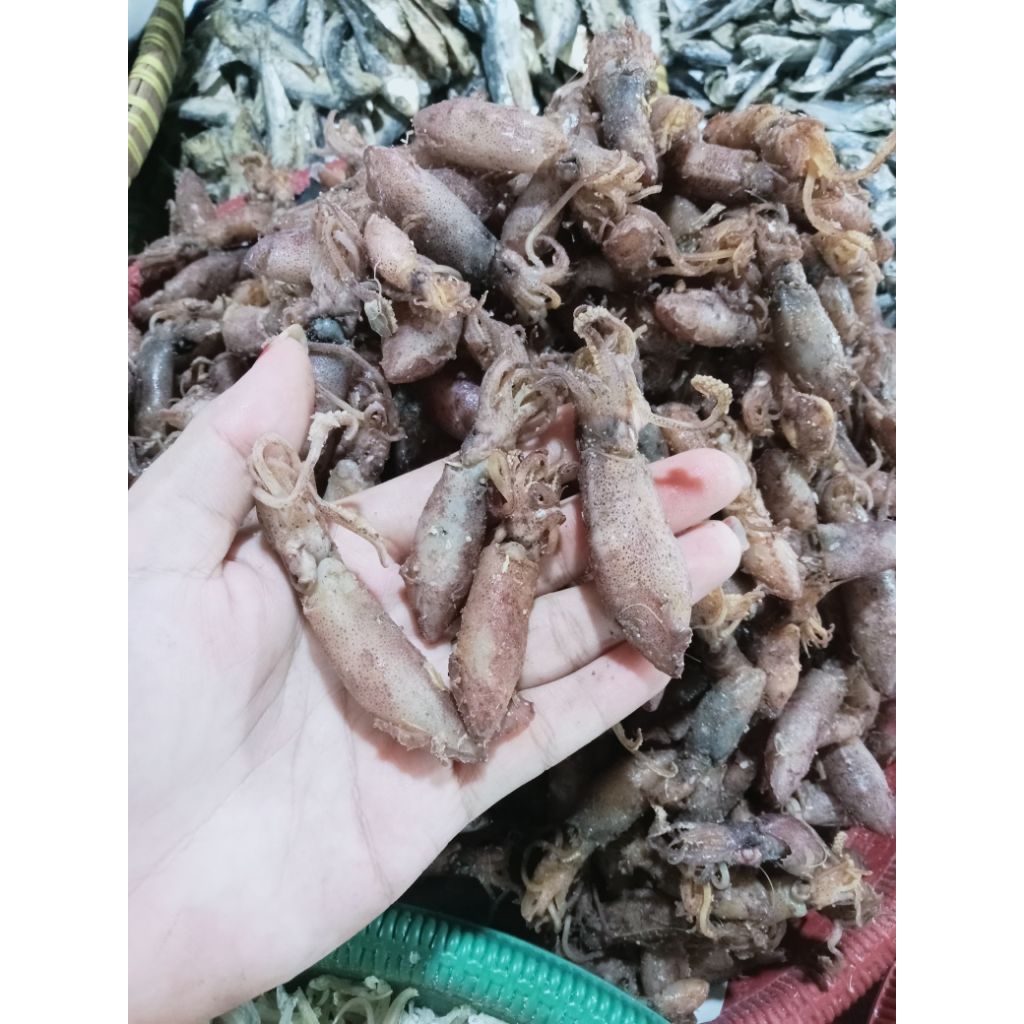 

Cumi Asin Sungsang ♛ kualitas PREMIUM