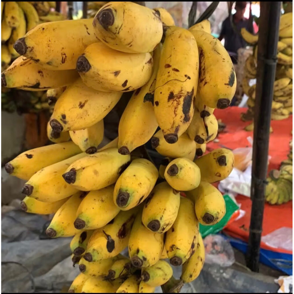 

pisang uli 1 sisir