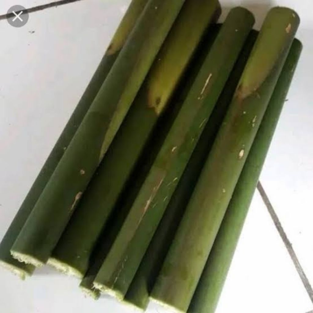 

batang pohon kecombrang 1kg