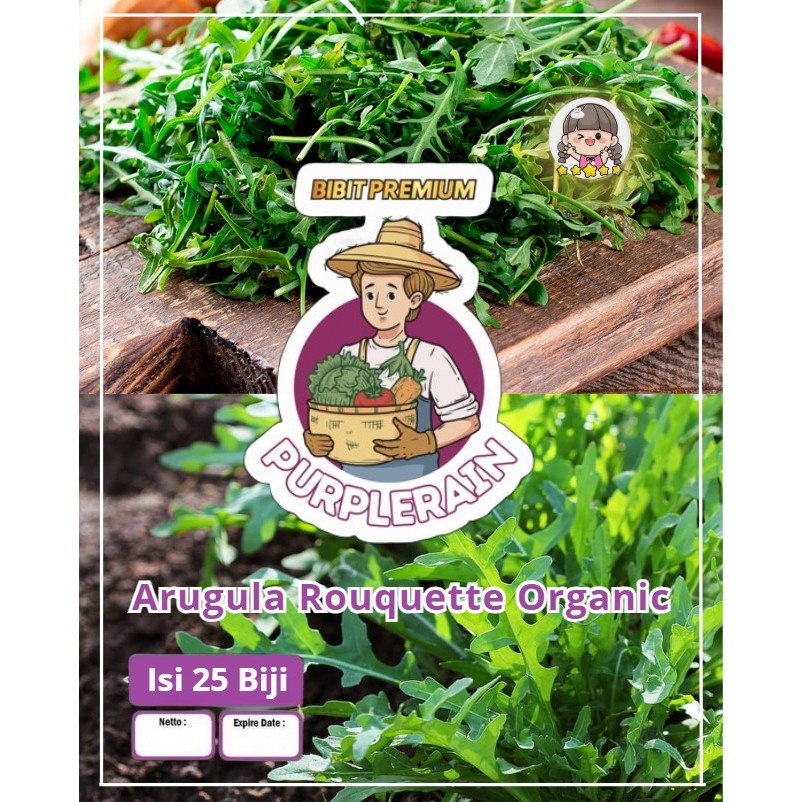 Bibit Premium Arugula Roquette Organic | Biji Benih Arugula Roquette | Arugula Roquette