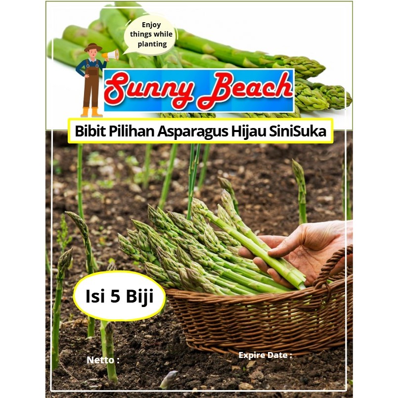 Bibit Pilihan Asparagus Hijau SiniSuka | Biji Benih Asparagus Hijau | Asparagus