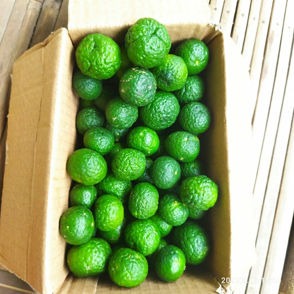 

JERUK LIMO FRES PETIK LANGSUNG KIRIM 1 KG