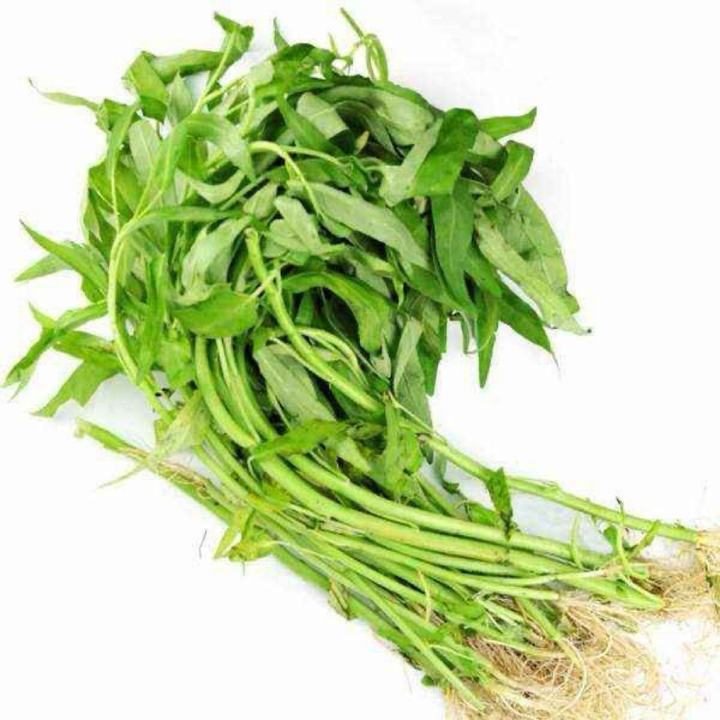 

Sumber sehat sayur || kangkung 1 ikat