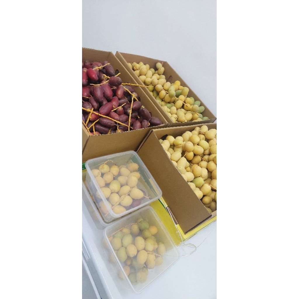 

Kurma Muda Rutob untuk Promil 250 gr , 500 gr , 1 kg Fresh Original