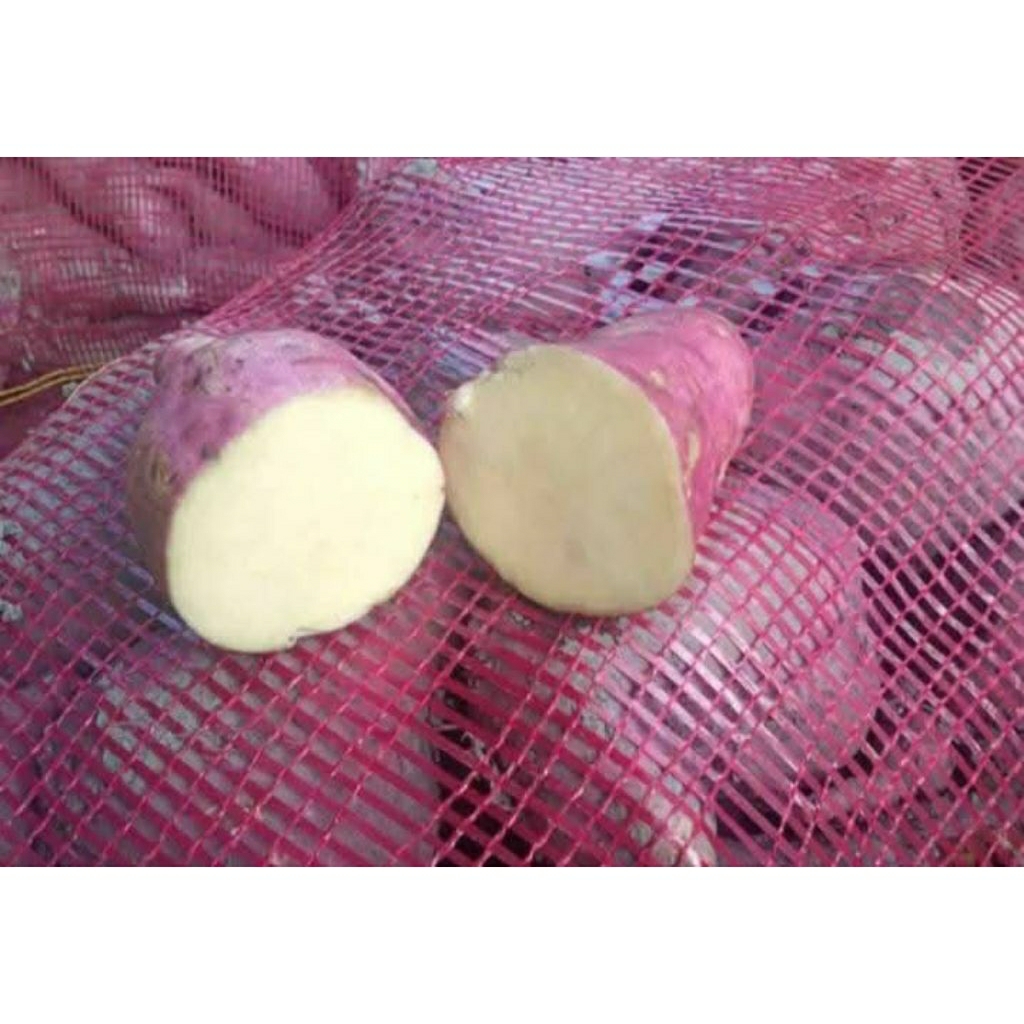 

Ubi rambat / Ubi Mantang Manis Pulen 1kg