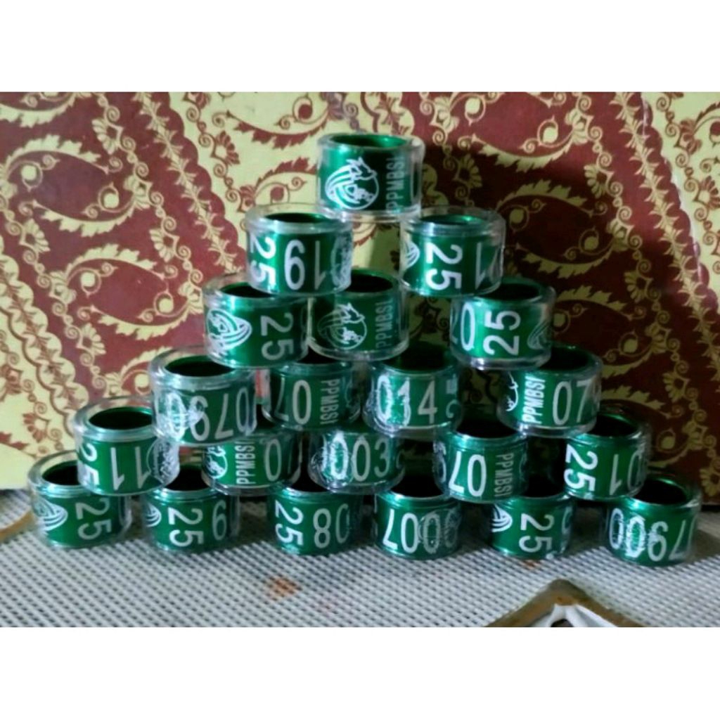 Ring tahun 2025 Merpati balap PPMBSI satuan