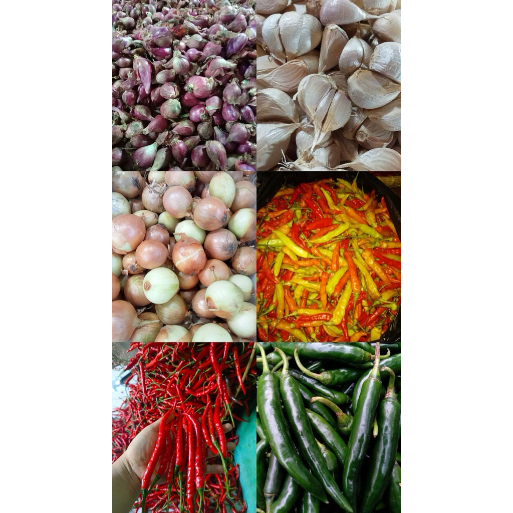 

Bawang merah, bawang putih, bawang bombay, cabe rawit, cabe ijo, cabe merah keriting (250 gram)