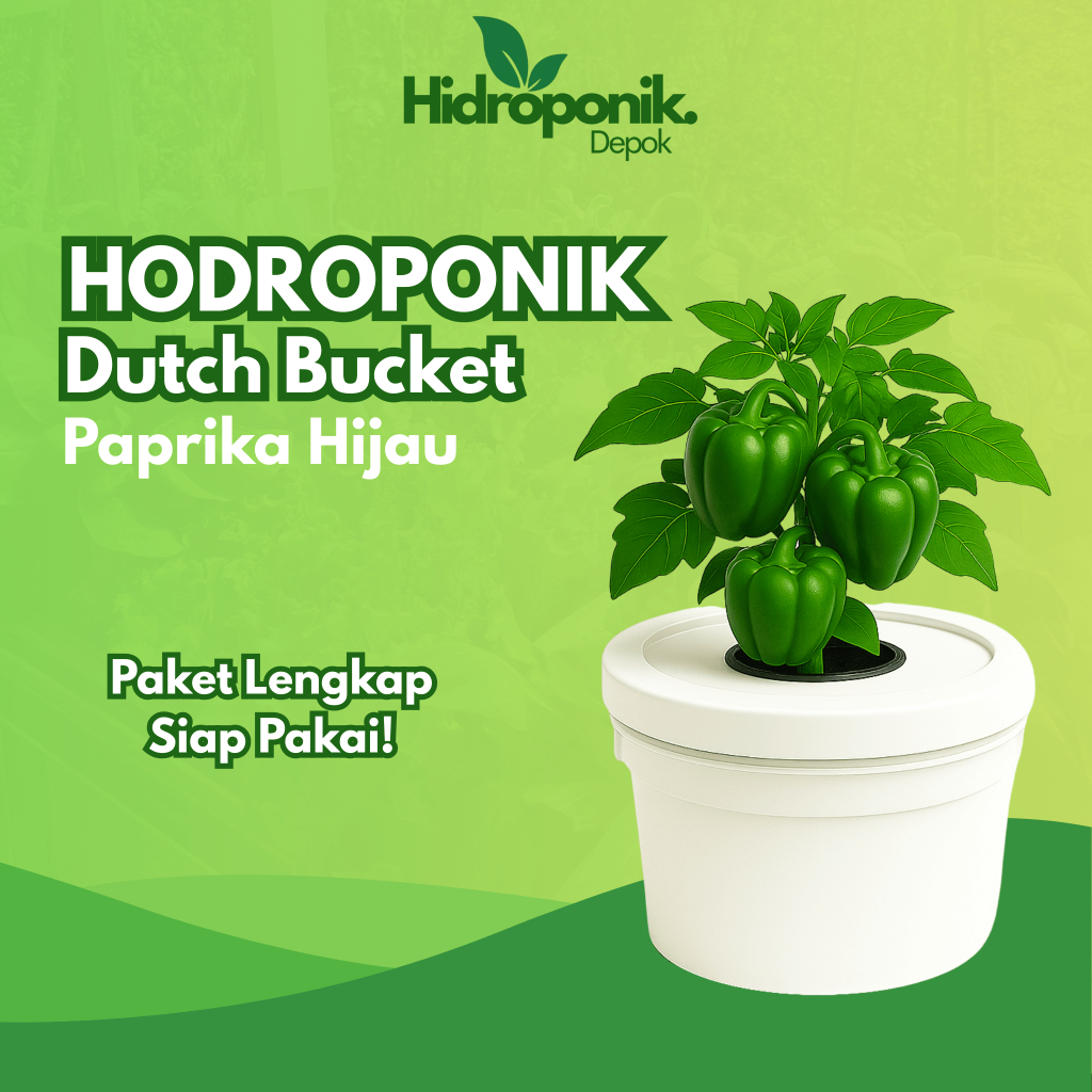 Paket Lengkap Hidroponik System Dutch Bucket Tanaman Buah Paprika Hijau