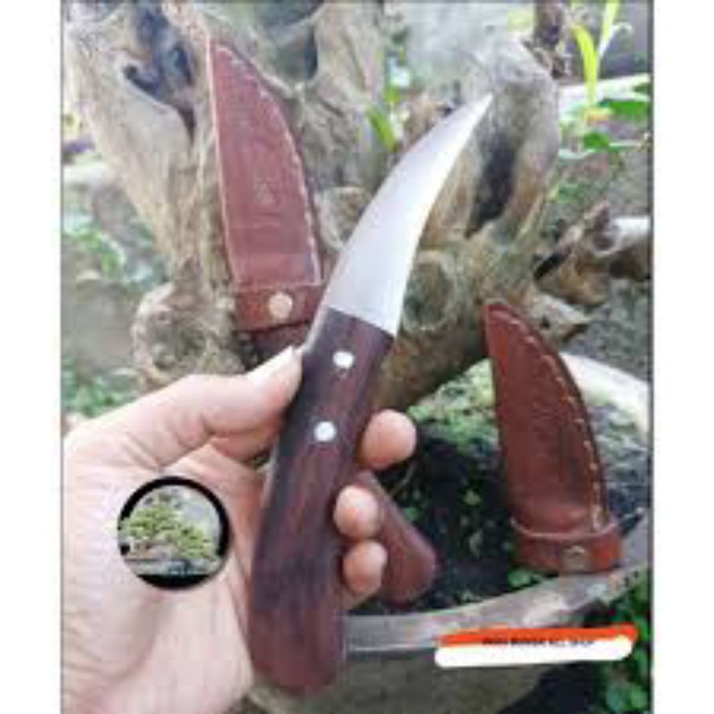 Pisau Grafting Okulasi