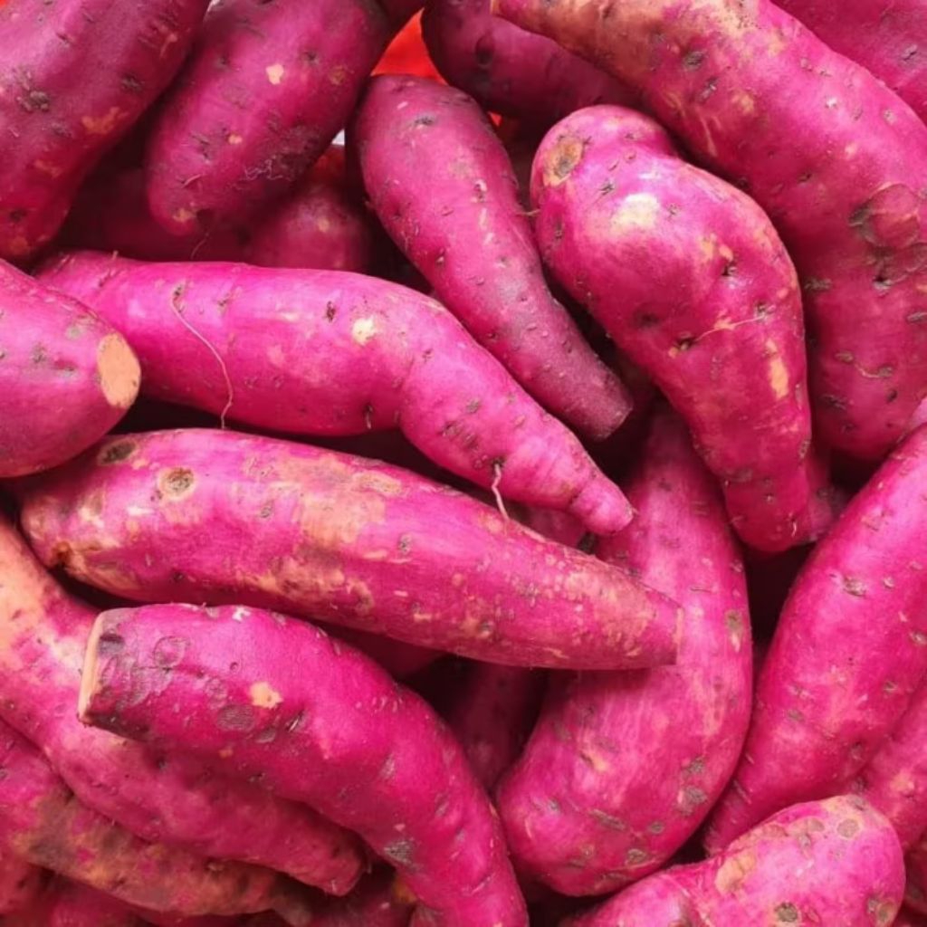 

UBI JALAR MERAH DALEMAN OREN 2 Kg .