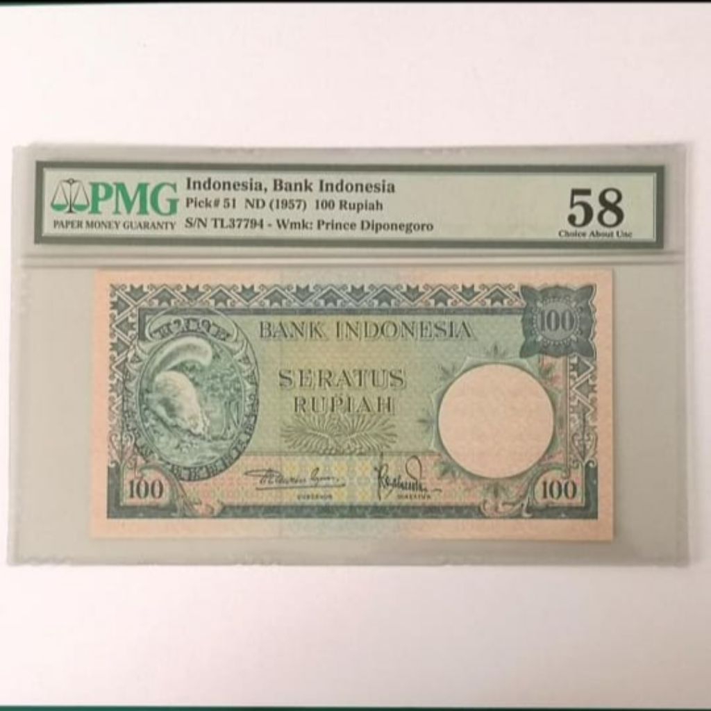 PMG TUPAI 100 PMG 58 TL37794