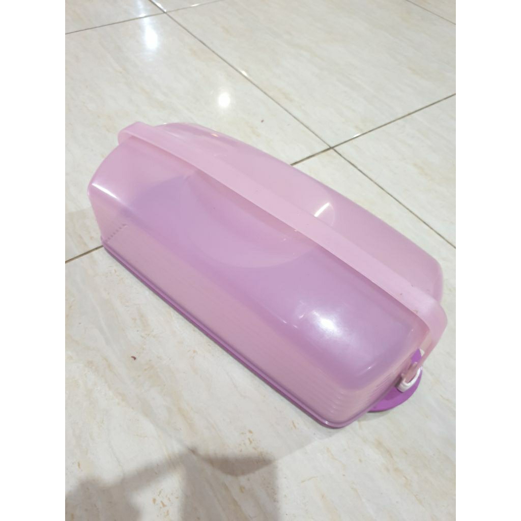 Tupperware Cake Taker