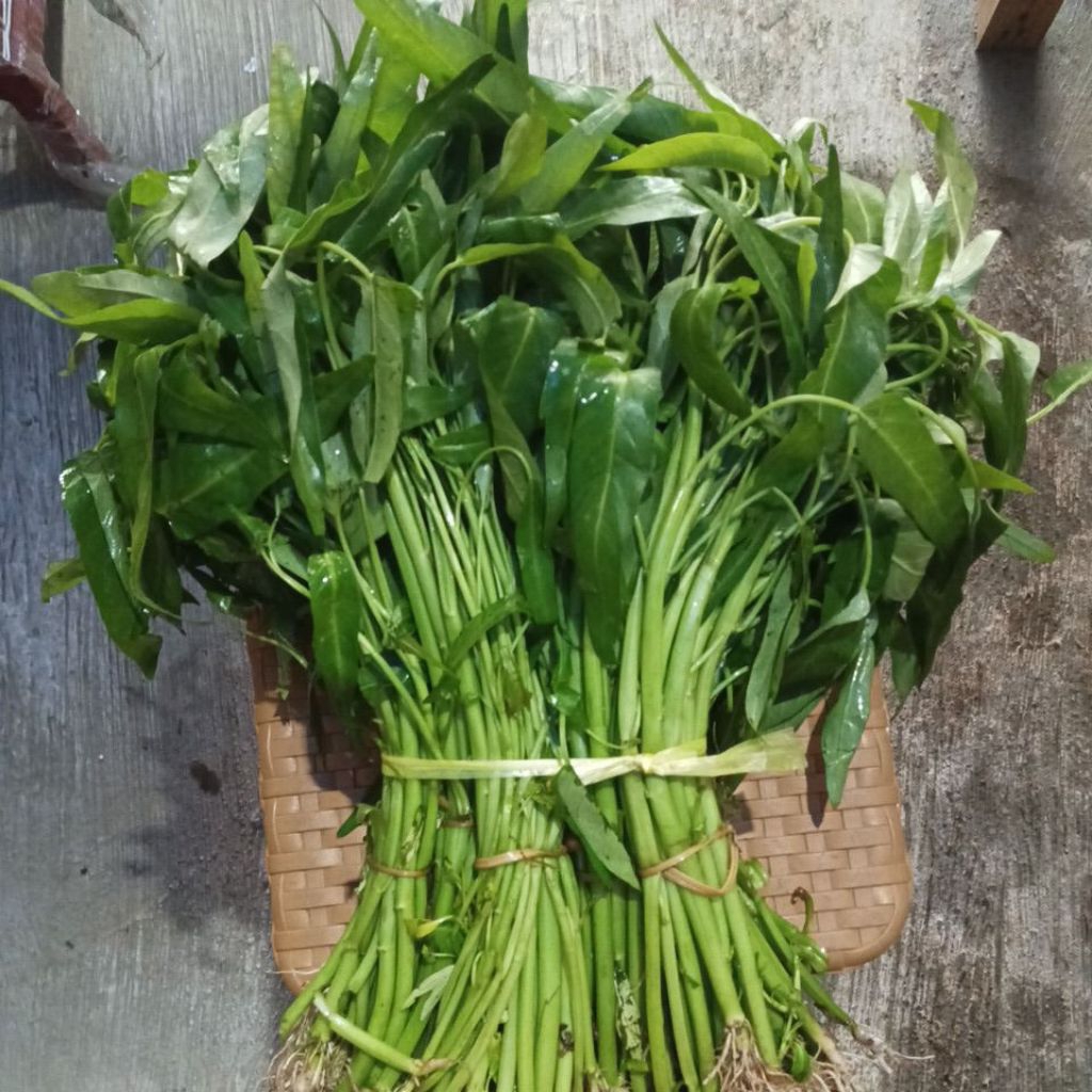 

Kangkung Hijau Segar 350 gram
