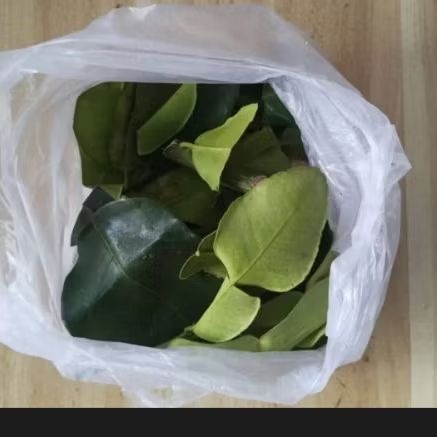 

Daun Jeruk Segar Murah