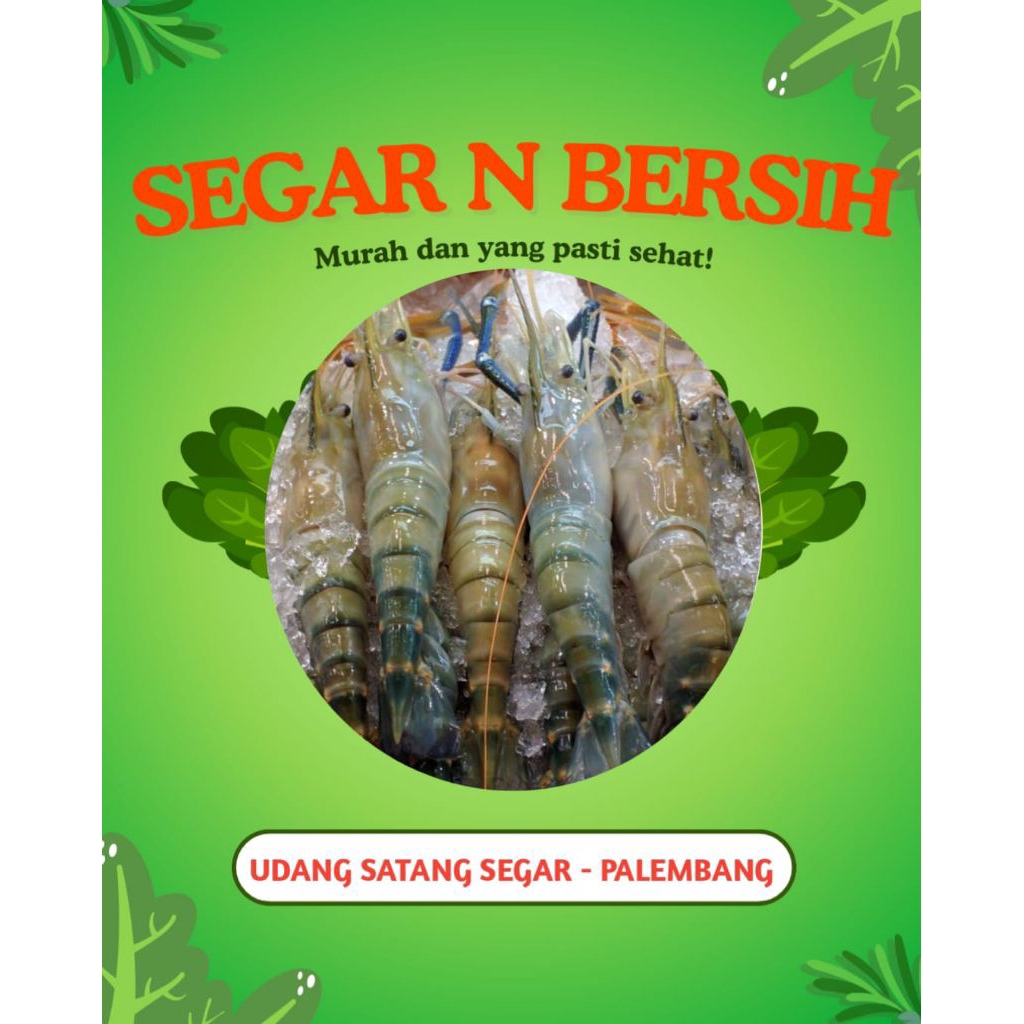 

UDANG SATANG/GALA SEGAR - PALEMBANG