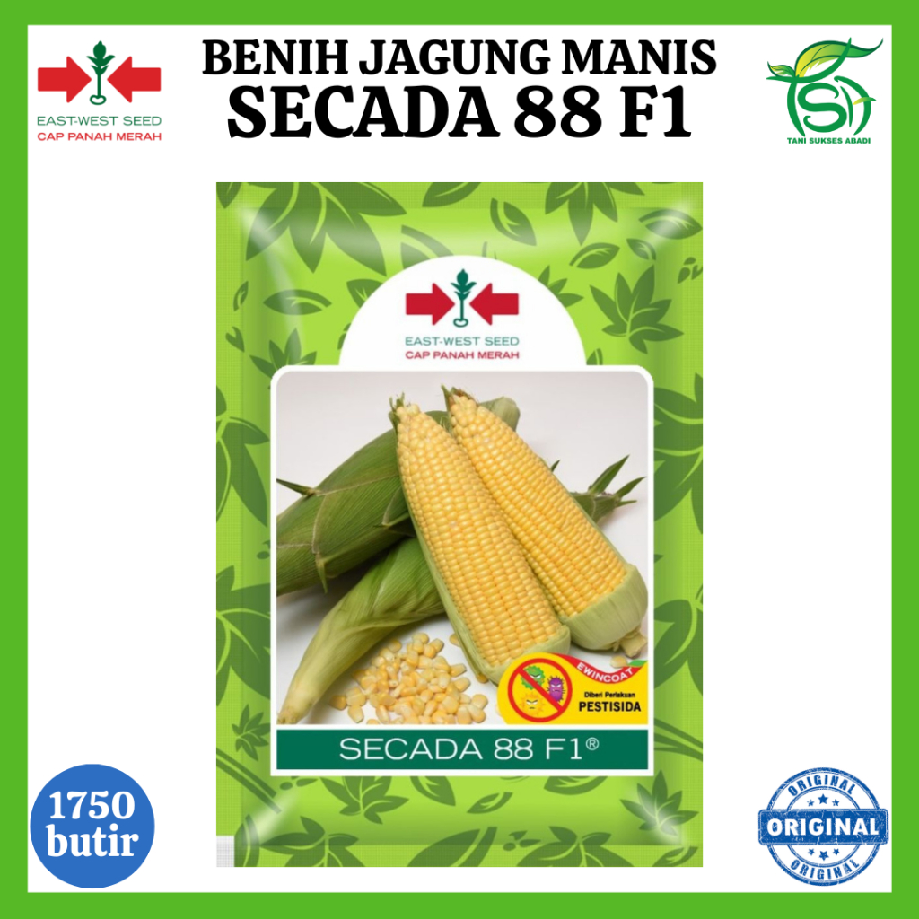 Benih Jagung Manis SECADA 88 F1 (1.750 Butir) Bibit Cap Panah Merah 1750 Biji
