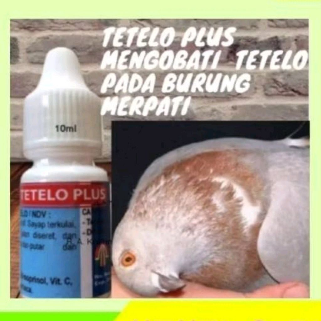 1 botol tetelo drop 10 ml obat burung merpati celeng kepala muter tetelo plus by tamasindo satu perb