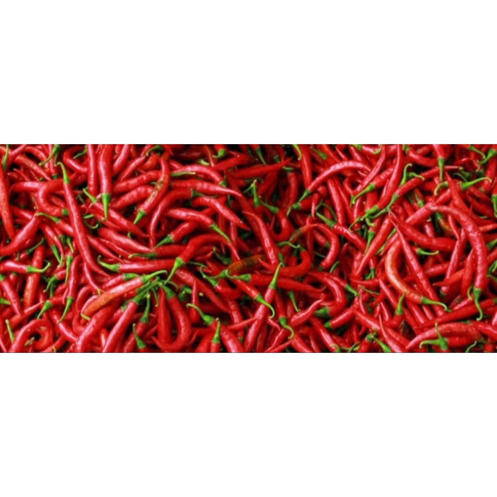 

Cabe merah padang