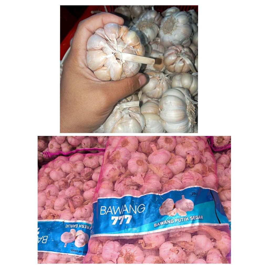 

bawang putih super