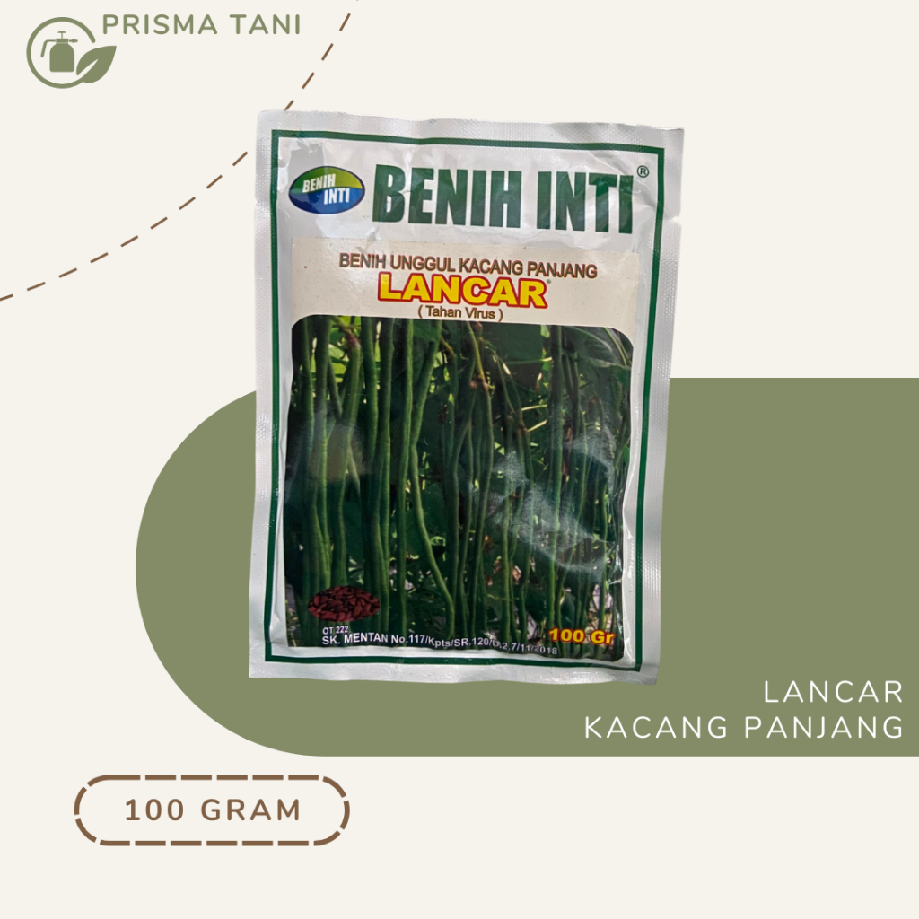 Benih Kacang Panjang -  Lancar - Benih Inti (100 gram)