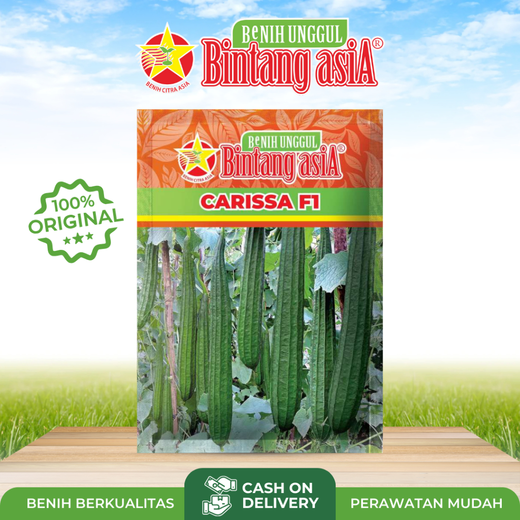 Benih Biji Gambas Oyong Unggul Gambas Oyong CARISSA F1 Cap Bintang Asia  Kemasan 10gr  PT BENIH CITR