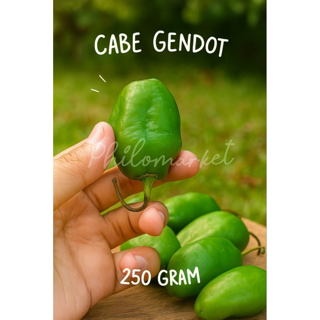 

VIRAL cabe gendot bandung cabai Bendot fresh 500gr
