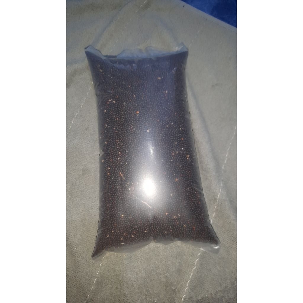 Pakan Burung Biji Sawi