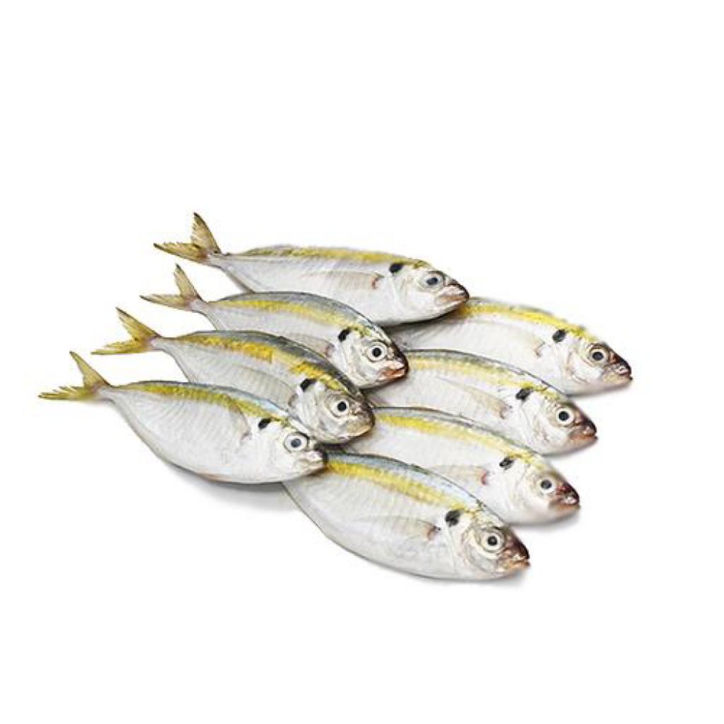

Ikan Selar Kuning Fresh (Ikan Segar)