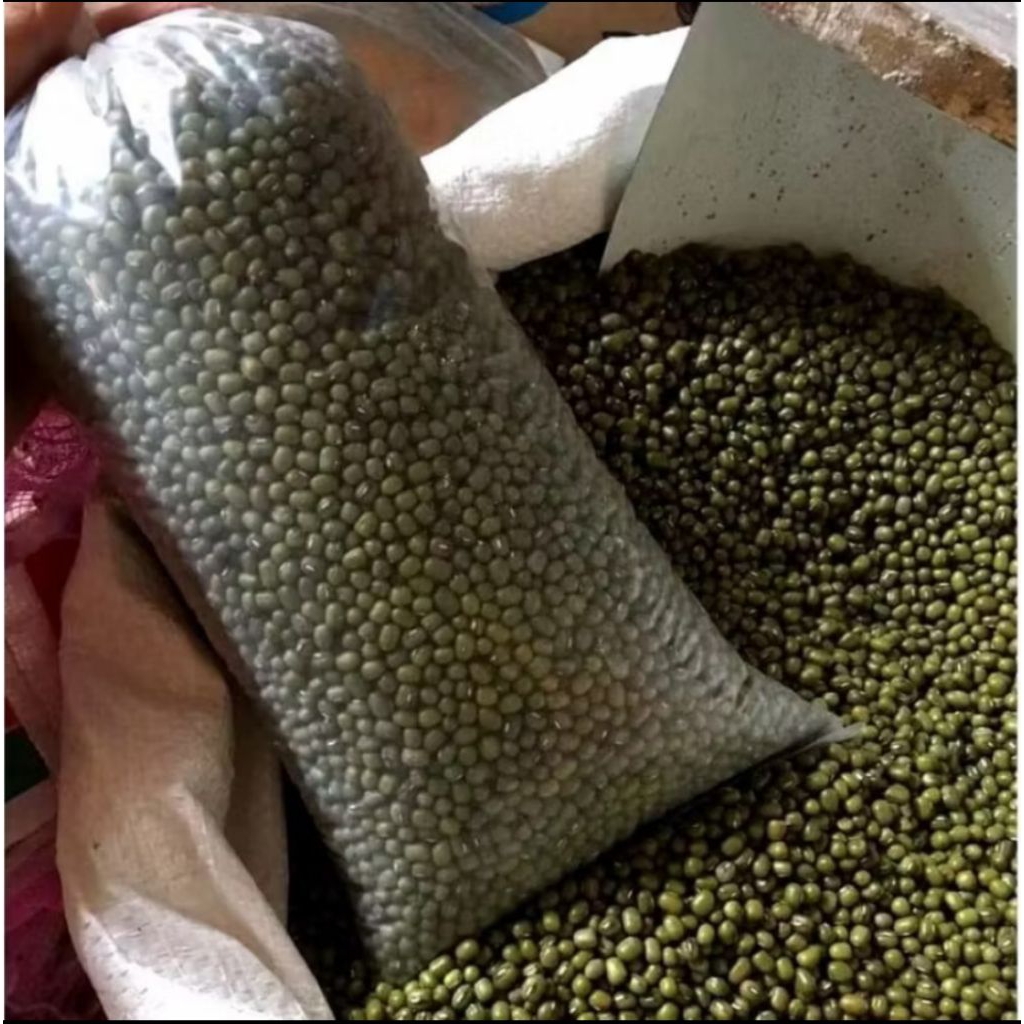 

kacang ijo 3 kg