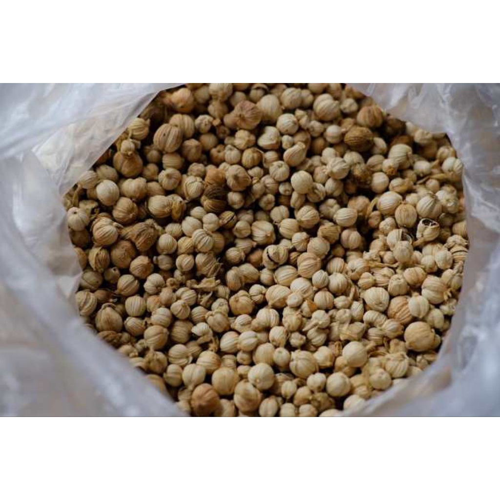 

kapolaga kering/kapulaga kering 100 gram