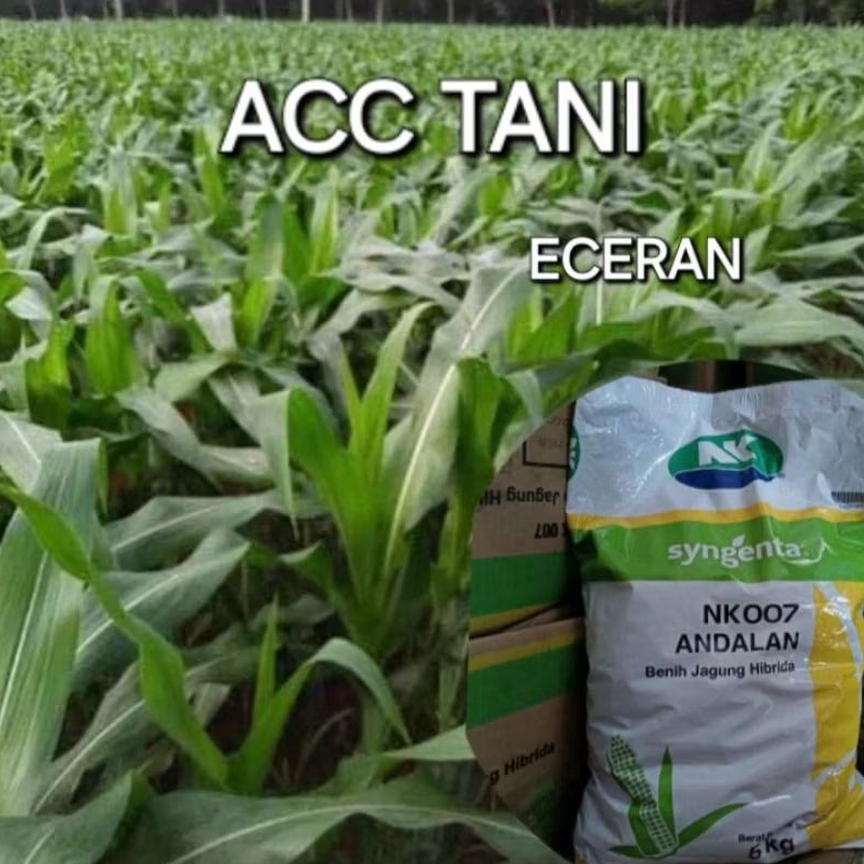 BENIH JAGUNG NK ANDALAN 007 ECERAN