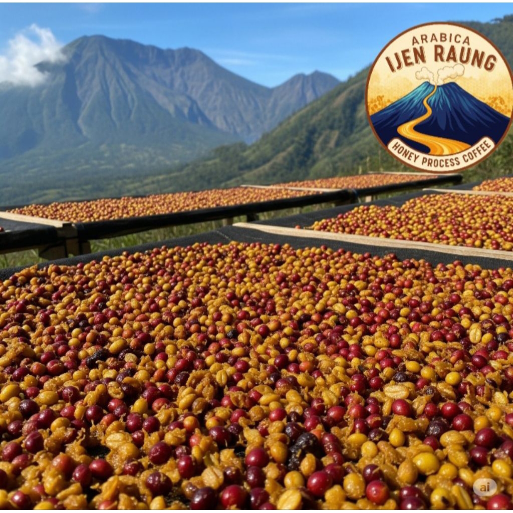 

Biji Kopi Arabika Ijen Raung Proses Honey 1 kg