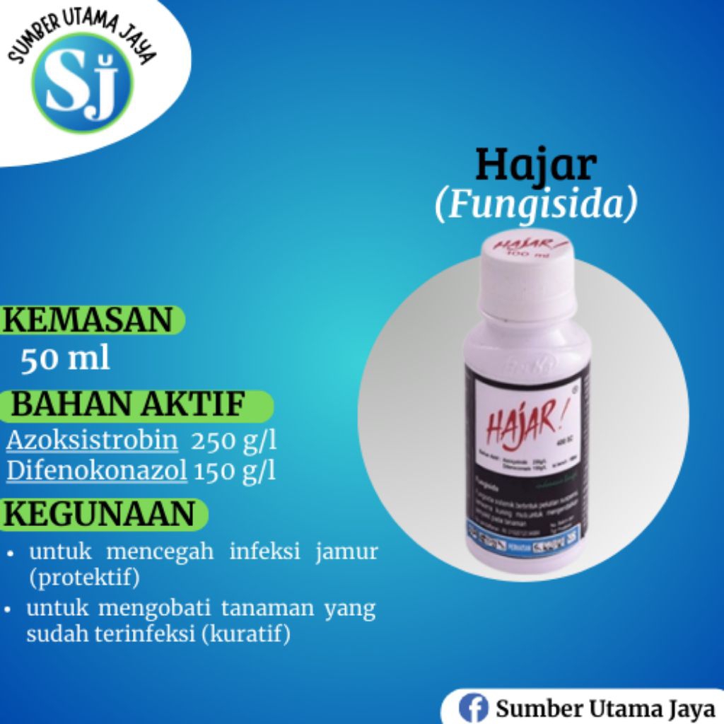 HAJAR 400 SC - 100 ML ( FUNGISIDA )
