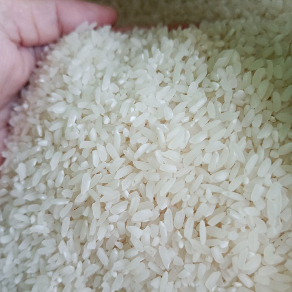 

BERAS SOLOK/BERAS MUDIK SUPER ( 10 KG ) HARGA TERMURAH
