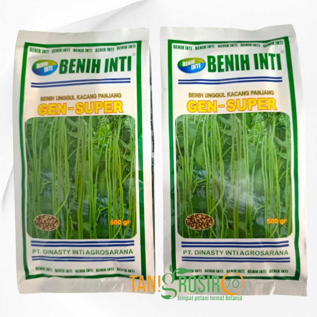 BENIH KACANG PANJANG GEN SUPER 500 GRAM – Sangat lebat Tahan layu fusarium dan tidak mudah gembos bu
