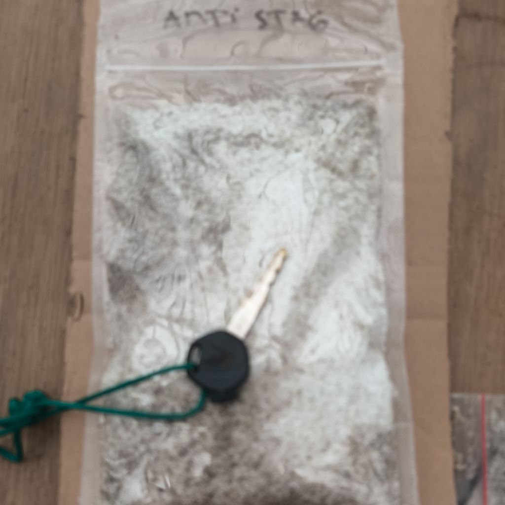 suplemeni tanaman anggur stag