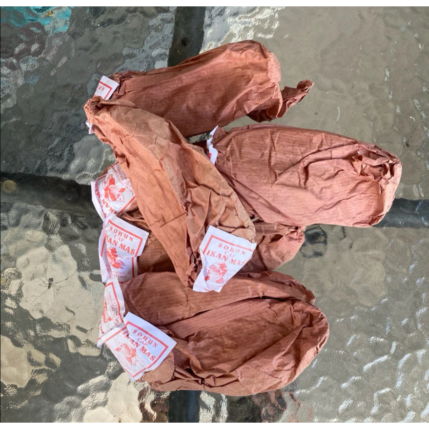 

Sohun Cap Ikan Mas Asli Padang Untuk Soto Padang Murah & Berkualitas